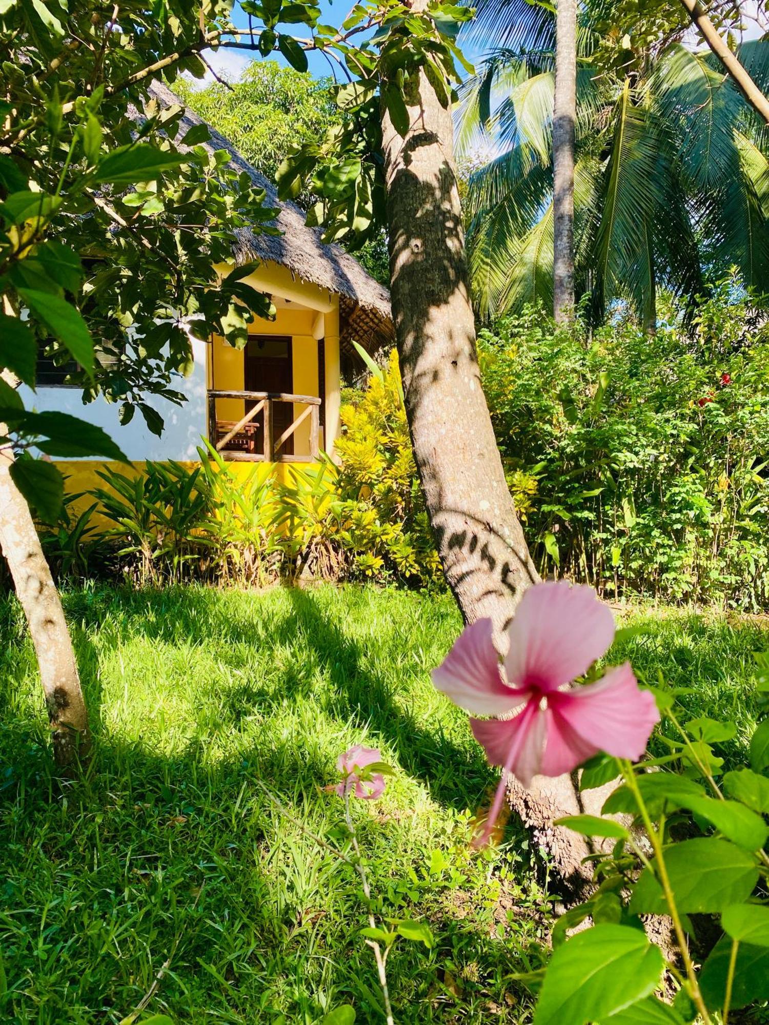 Mangrove Hotell