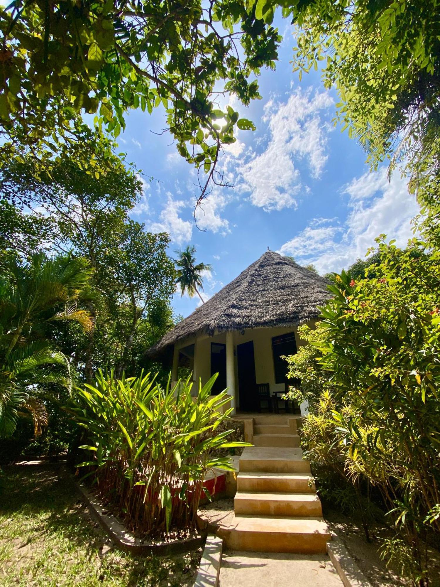Mangrove Hotell Zanzibar